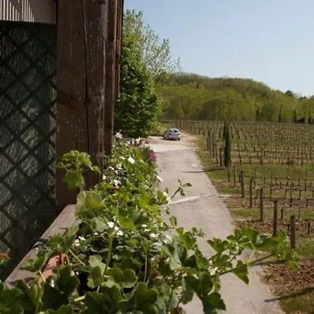 Farm stay Agriturismo Subida Di Monte